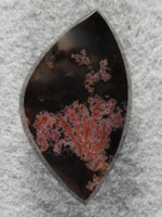 Singleton Bouquet Agate 1582 :  A Red Bouquet on a Black Agate cab from the Mesa on Singleton.