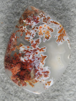 Singleton Bouquet Agate 1585 : Good sized cab of bright colored Bouquet plume.