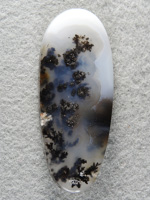 Singleton Plume Agate 1548 : Another very long ellipse of wonderful plumes in a salt and pepper cab.