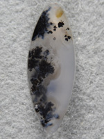 Singleton Plume Agate 1559 : perfect plumes in this rounded marquise cut.
