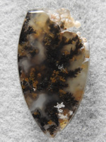 Singleton Plume Agate 1569 : I left the upper right natural to show the bubbly in this pretty Singleton Plume Agate.