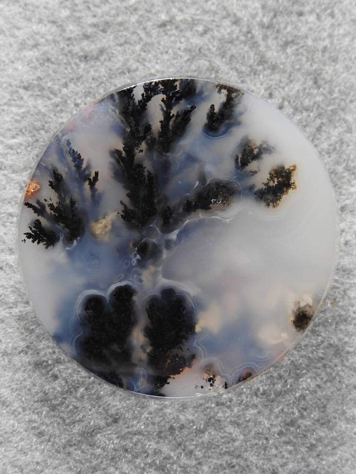 Singleton Plume Agate 1564 : I saw this cab in the slab immediately and what a cab it made.  Singleton Plume is so nice.