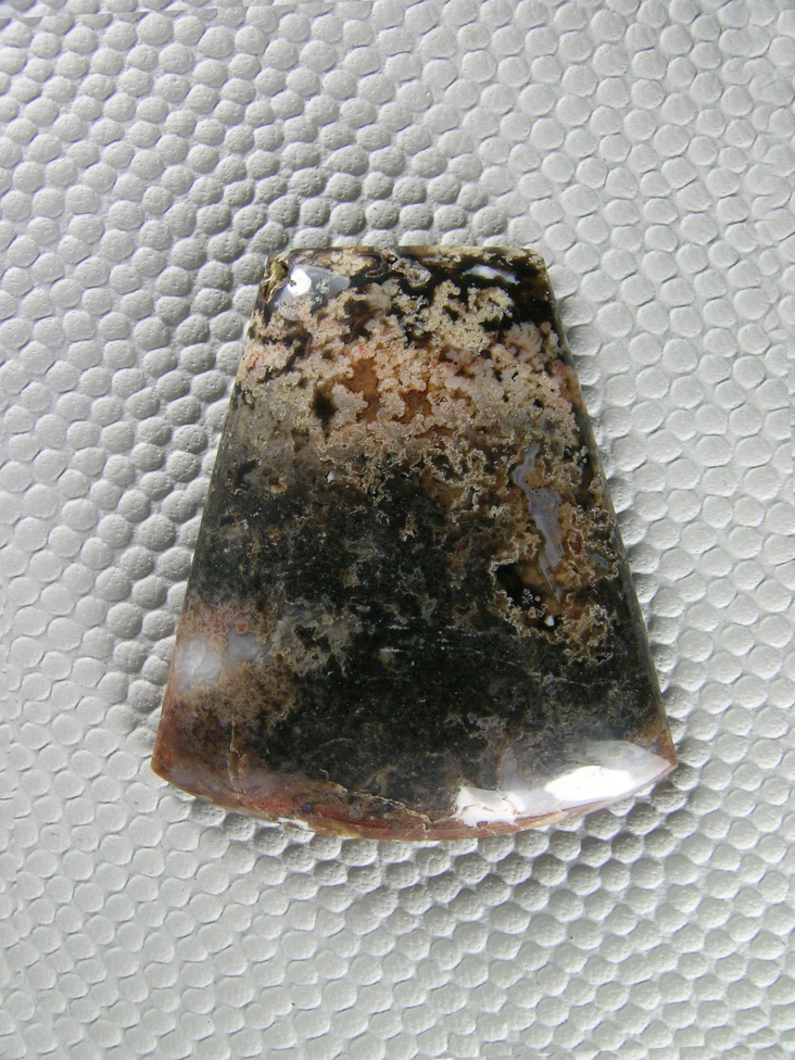 Horse Canyon Plume Agate 737  :  A simple fan cut in Black with Cream colored plumes.