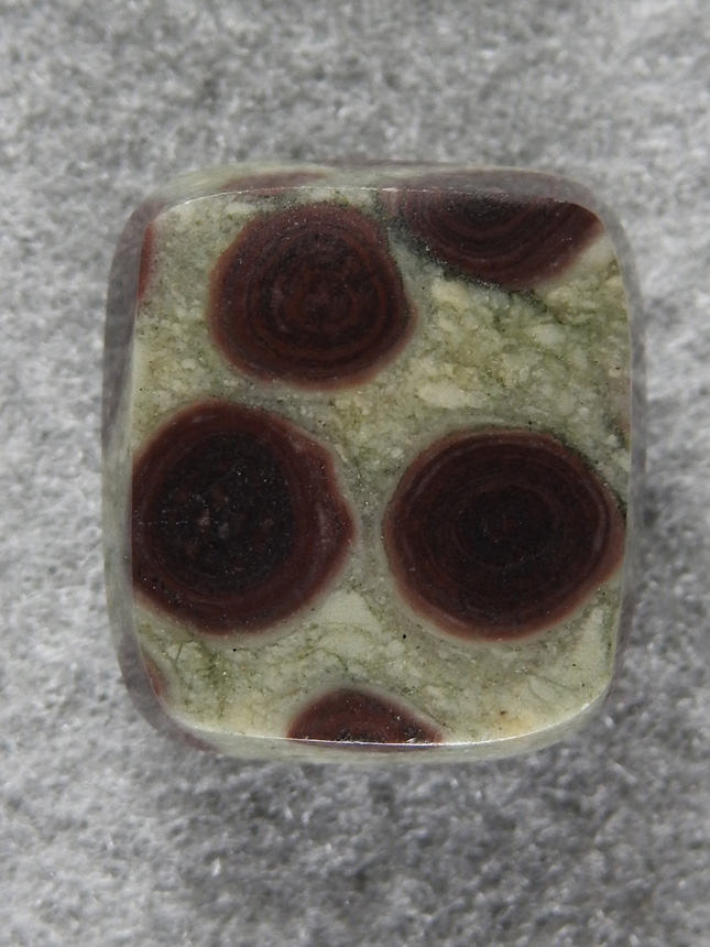 Birdseye Rhyolite 1755 : Little square of green Rhyolite with Brown Birdseyes