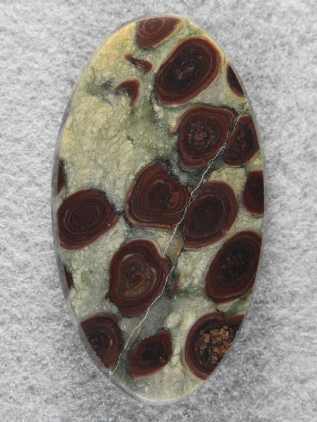 Birdseye Rhyolite 1757 : Large Oval of green Rhyolite with Brown Birdseyes. Line across is not fracture but fully healed.