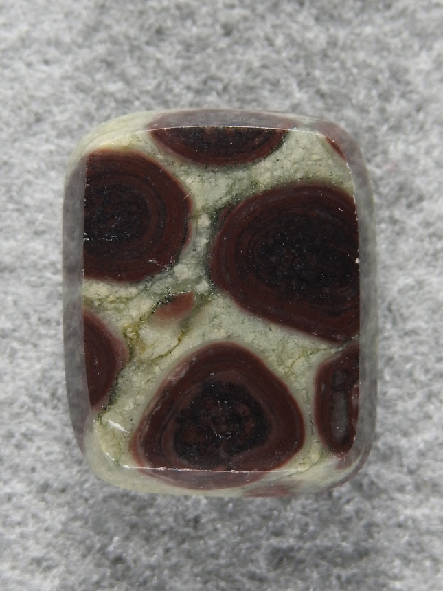 Birdseye Rhyolite 1759 : Little square of green Rhyolite with Brown Birdseyes