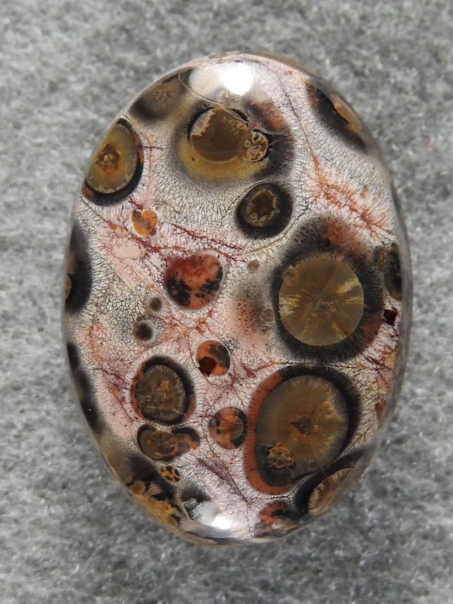 Birdseye Rhyolite 1850 : Some Rhyolite can be quite striking as in this glossy little gem.