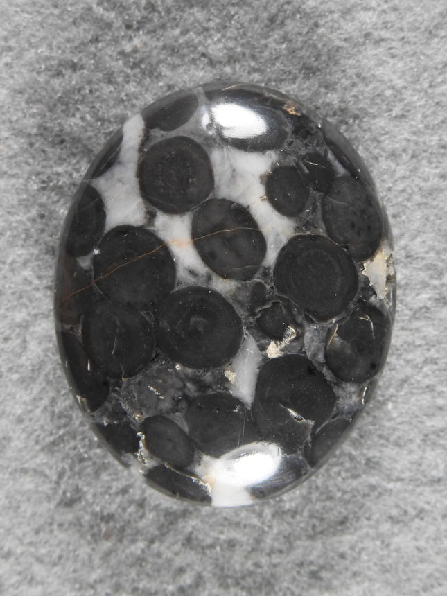 Birdseye Rhyolite 543  :  Birdseye Rhyolite and a traditional cut.  The orbs make quite pleasing patterns and it takes a great polish.