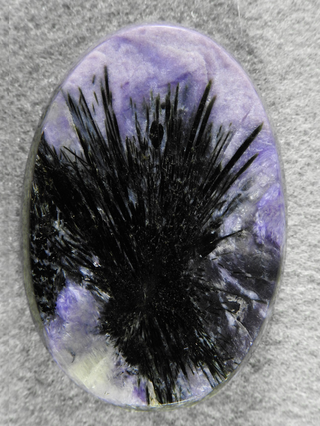Charoite 1861 : What a showy cab of Charoite.  The cab is semi flat topped to make sure not to lose the perfect Augite sprays central to this cab.  Truely a collector cab of both minerals.