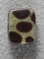 Birdseye Rhyolite 1756 : Little square of green Rhyolite with Brown Birdseyes