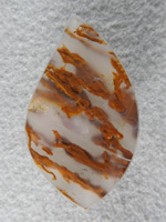 Bull Canyon Agate 1364 : pretty with the gold stinrgers in clear.