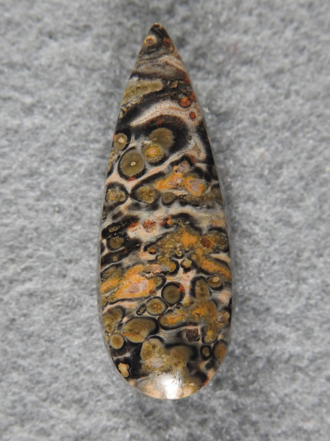 Leopard Jasper 2081 : Technically a Rhyolite this material is a favorite of cutters for high contrast patterns.