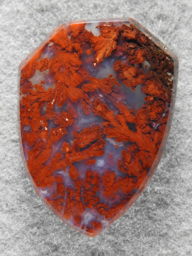 Plume Agate 1836 : Another Bright Red PLume cab from an inknown location.