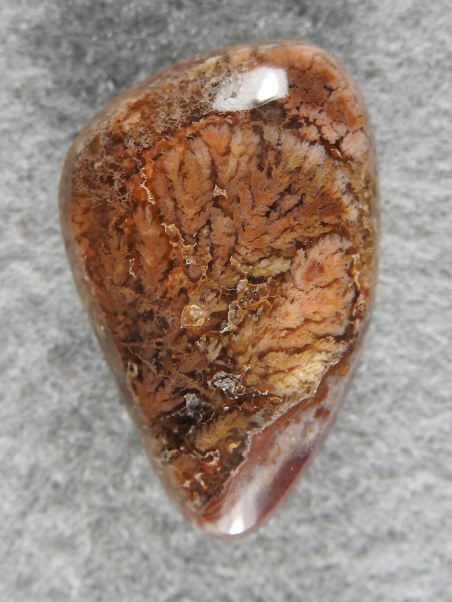 Plume Agate 1837 : Pastel Plumes from an unknown source Glossy cab is high end.