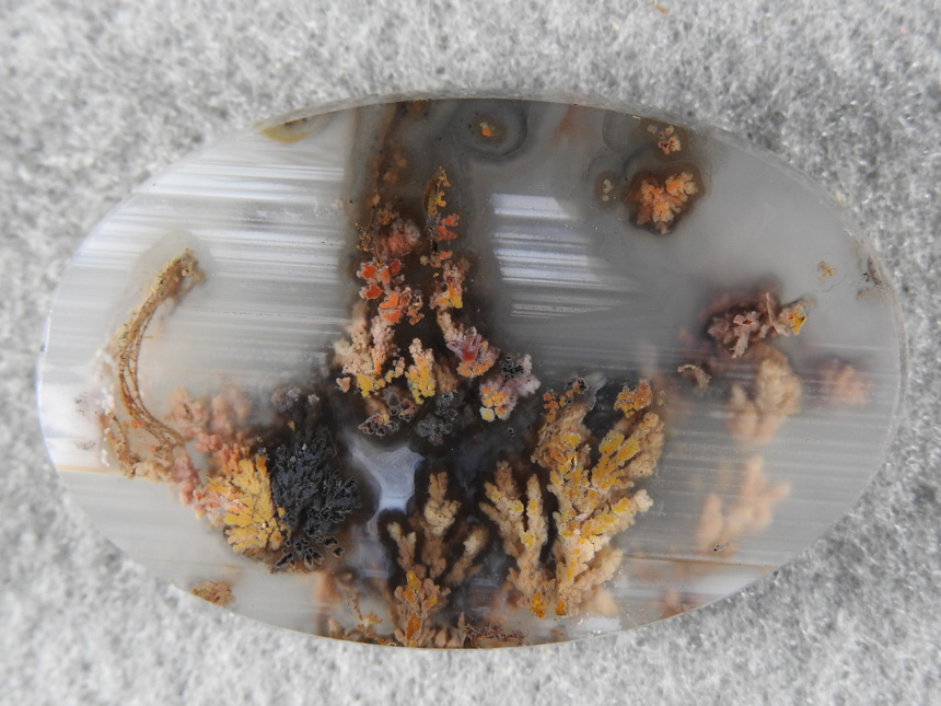Priday Plume Agate 1804  :  I did not cut this cab but purchased it as one I couldn't pass up.