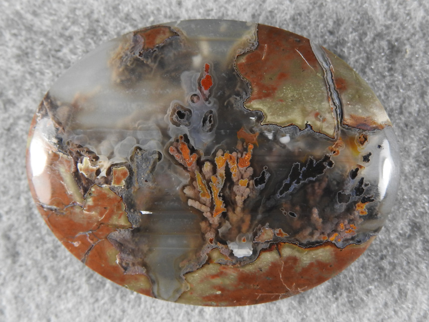 Priday Plume Agate 534  :  A traditional cab of classic Priday Plume Agate from Oregon.  Like a boquet of flowers underwater a very one of a king cab.