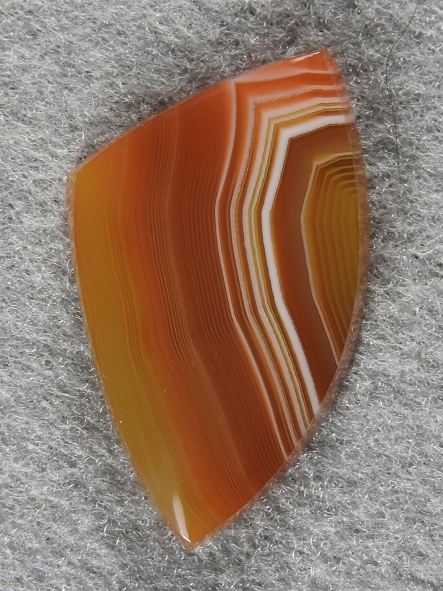 Queensland Agate 2038  :  I my opinion Queensland has one of the best Yellow Fortification Agates. This +2037 were cut from a highly fractured slab.