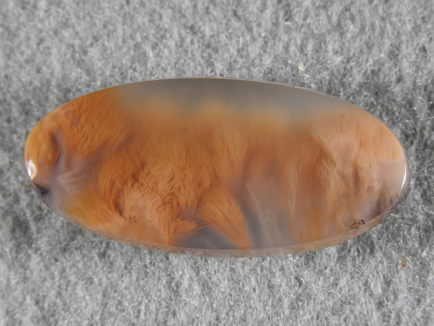 Sagenite Agate 1833 : Gemmiest cab of Mexican Sagenite I have ever done.