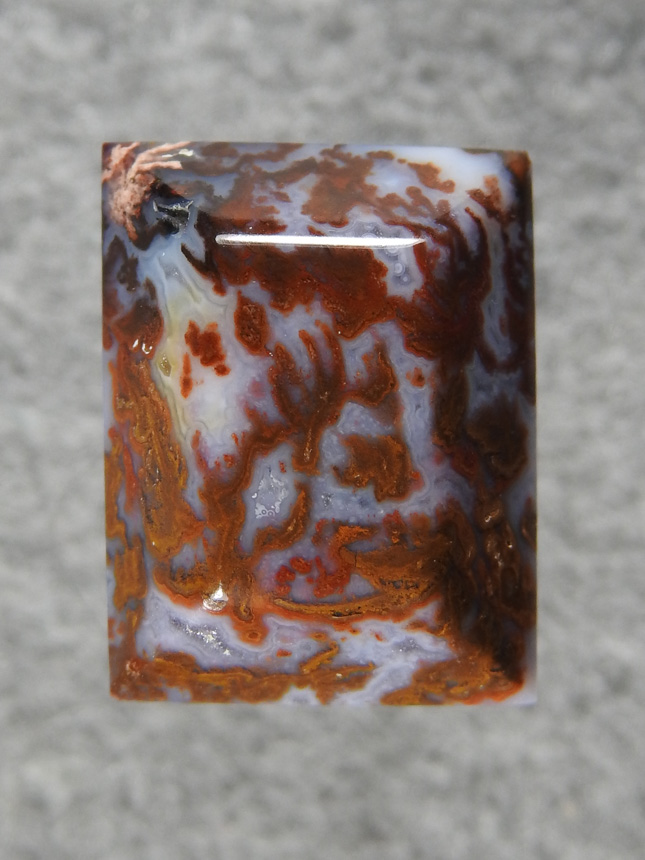 Wingate Pass Plume Agate 2229 : Rare material and even the small stones show great pattern.
