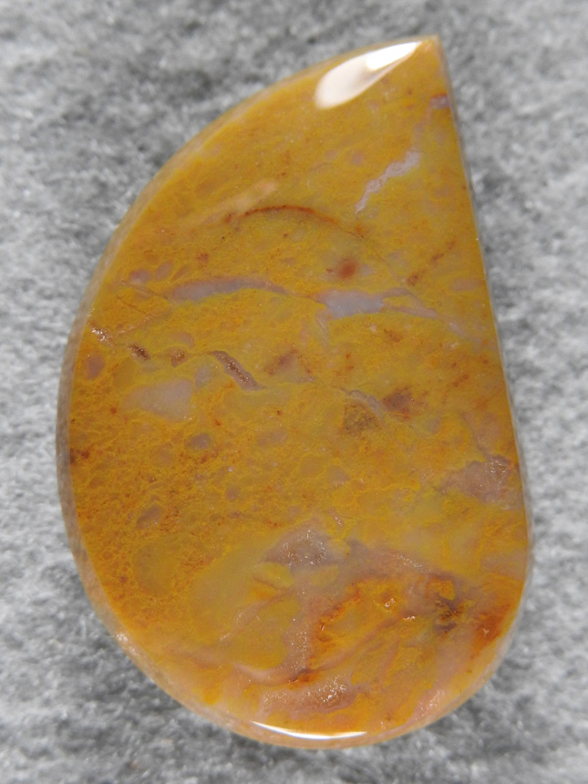 Yellow Moss Agate 1866 : A Gloss finsh Yellow Moss cab from unknown location.
