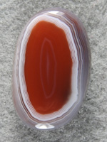 Botswana Agate 1721 : What a Gemmy little stone with a great pattern. Nature took it's time with this one.