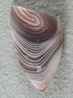 Botswana Agate 1929 : A little Plum with some parallax in this sweet stone.