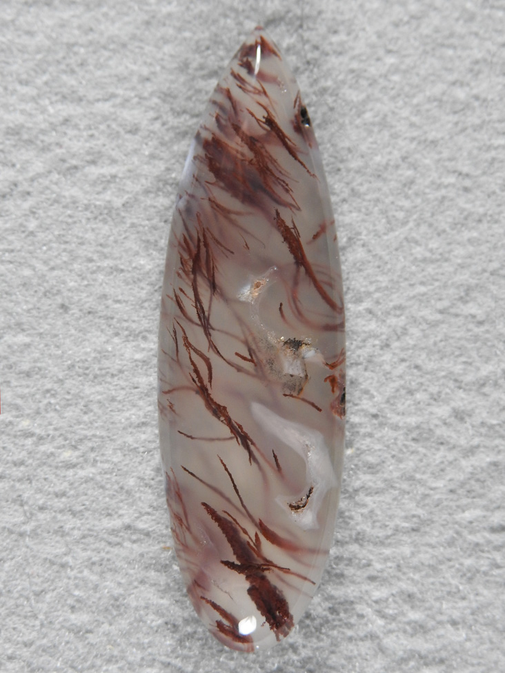 Cady Mountains Moss Agate 1813 : I found this Moss growing as a seam on the underside of a 20ft boulder in South Cady Mountains.