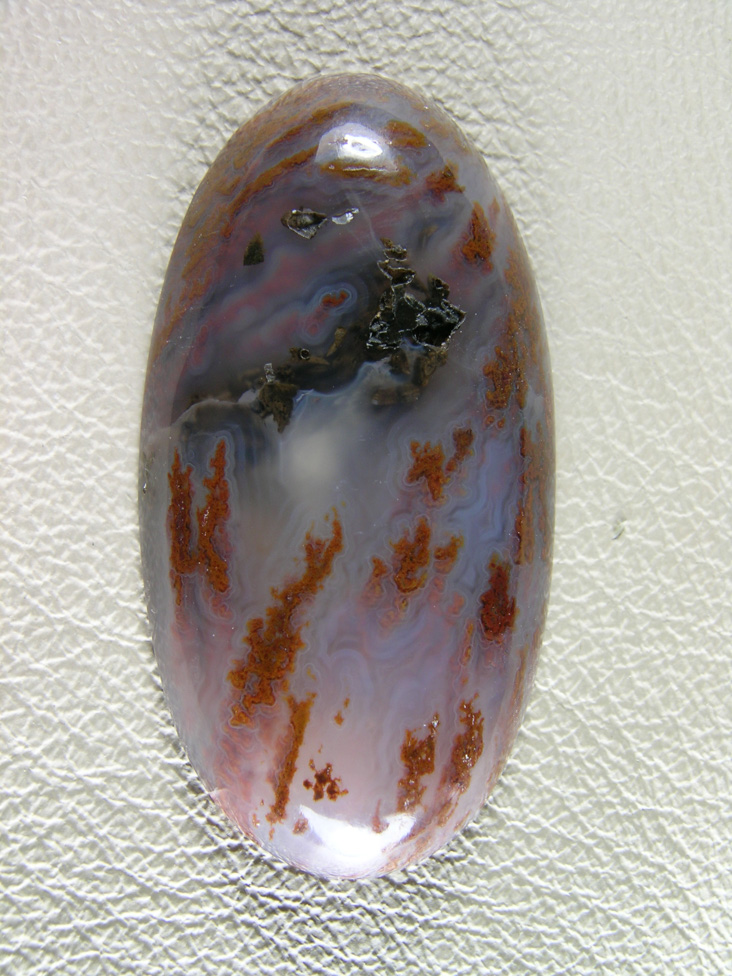 Cady Mtns Agate 580:  I think this was the original Golden Lace Plume Mary Francis Strong mentioned in her book.  I found in the South Cady Mountains