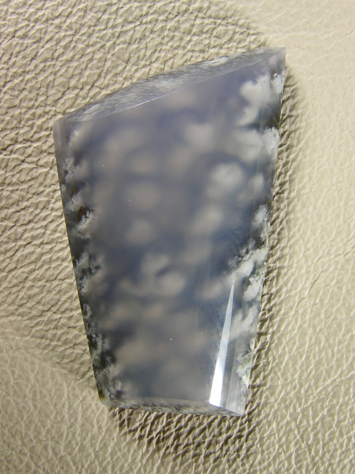 Cady Mtns Agate 600  :  Another South Cady Plume cut so that you are looking down on the plumes, very 3d.