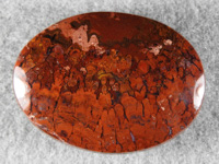 Cady Mountains Jasper 1814 : You can clearly see the stromatolite growth in this South Cady Mountains Jasper.  A very nice polish for such a complex Jasper.
