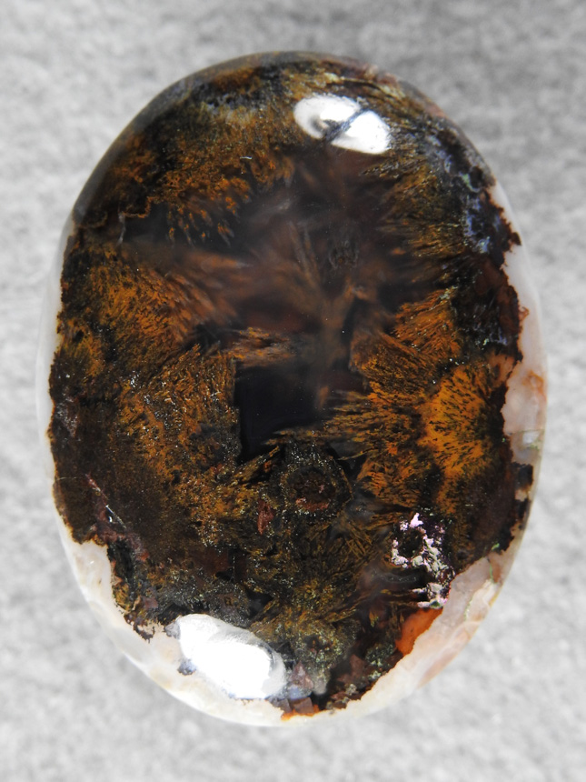 Calico Sagenite Agate 604  :  Full Spray of Golden Sagenite in this traditional cab.