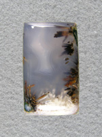 Calico Sagenite Agate 605  :  A very cab of multicolored Sagenite sprays coming in from the edges.