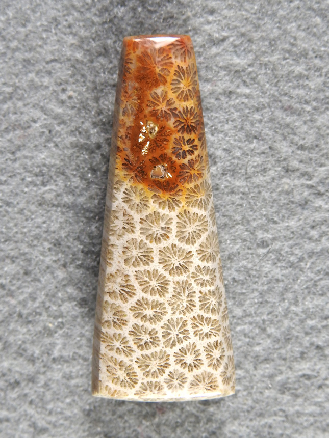 petrified Coral 1599 : I normally like saving these ultra small polyps for things like earrings. Can't resist that pattern.