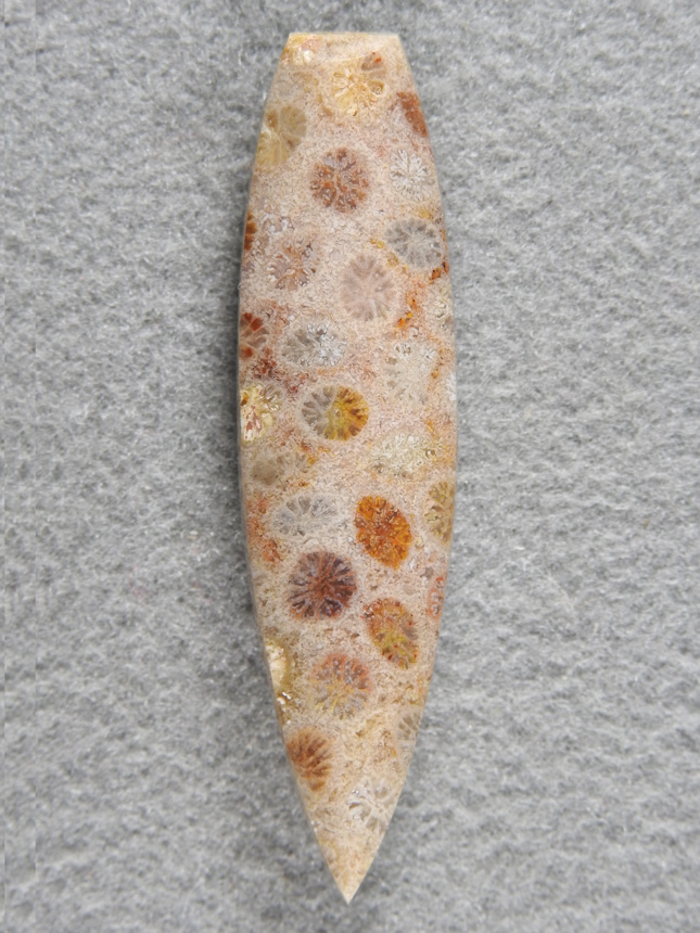 Petrified Coral 1980 : A new shape I designed it is so elegant especially with this amazing Bali Coral. Can you just see the pendant here.