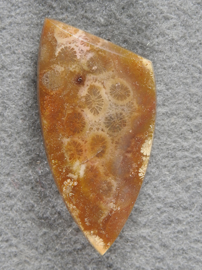 Petrified Coral 1981 : A subdued Bali coral cab, great patterns and warm feel.