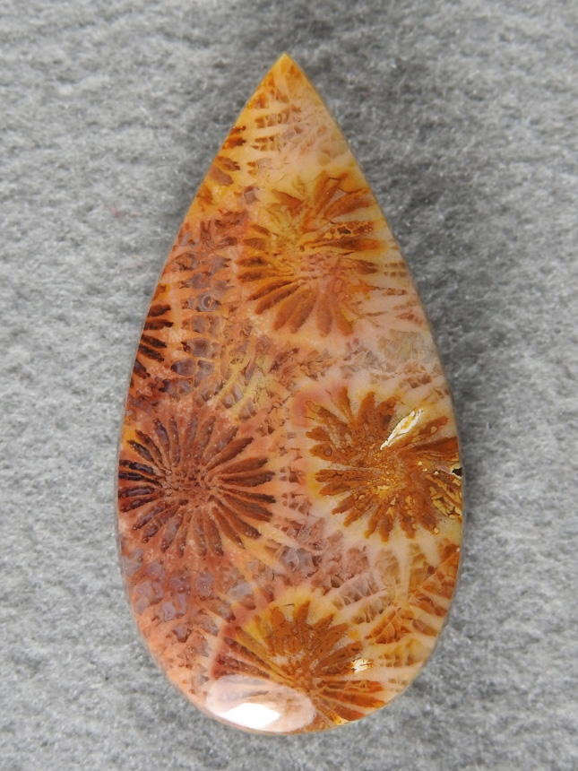 Petrified Coral 1983 : What a striking cab with saturated colors and a gloss finish.