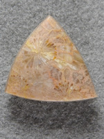 petrified Coral 1596 : Muted colors mix it up with the polyp patterns in the triangle cut.
