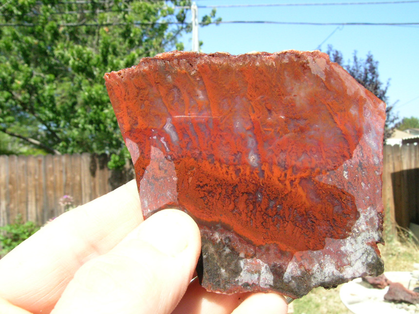 A daylight view of the plumes in the slabs.