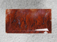Coronary Plume Agate 661  :  A bar cab with Plume sprays all down it.