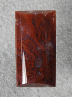Coronary Plume Agate 665  :  A pretty hal barrel with nice plumes, a small druzy spot on the left side of the cab.