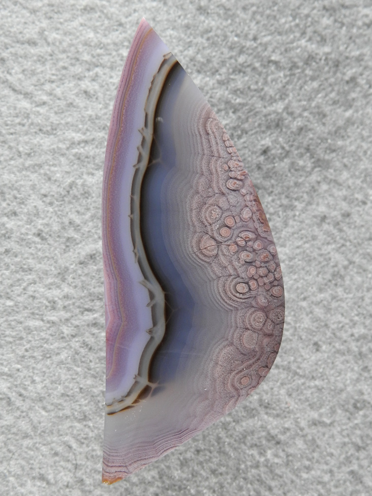 Coyamito Agate 172  :  I always see a bird in this stone.  I love all the pop up orbs and the great colow spread.  A great stone.