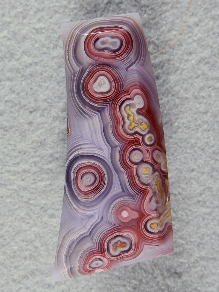 Coyamito Agate 180  :    Look at this color and these patterns with fortifications, shadows, tubes etc.  This chunk of Coyamito was expensive but wow what one of a kind collector cabs.