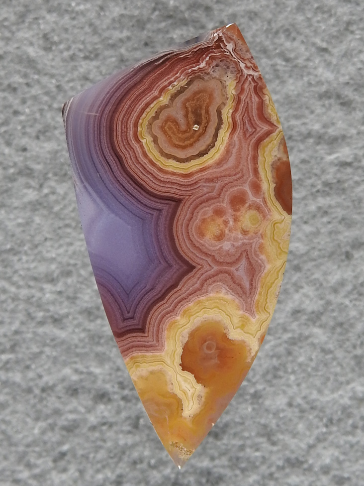 Coyamito Agate 186  :    I got several small fractured slabs of the exceptional Agate with the Yellows and Purples.  Every one is a winner.