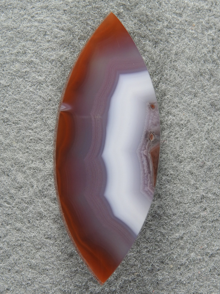 Coyamito Agate 1462 : Gemmy Red White and a Blueish Lavendar center band.  Nice material.