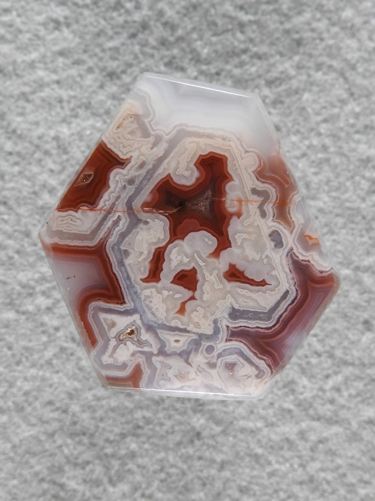 Coyamito Agate 207  :  A cab of exceptional Psuedomorph Agate from Coyamito.  A wonderful color combo and intense Reds make this a beautiful cab.  Perfect for a pendant