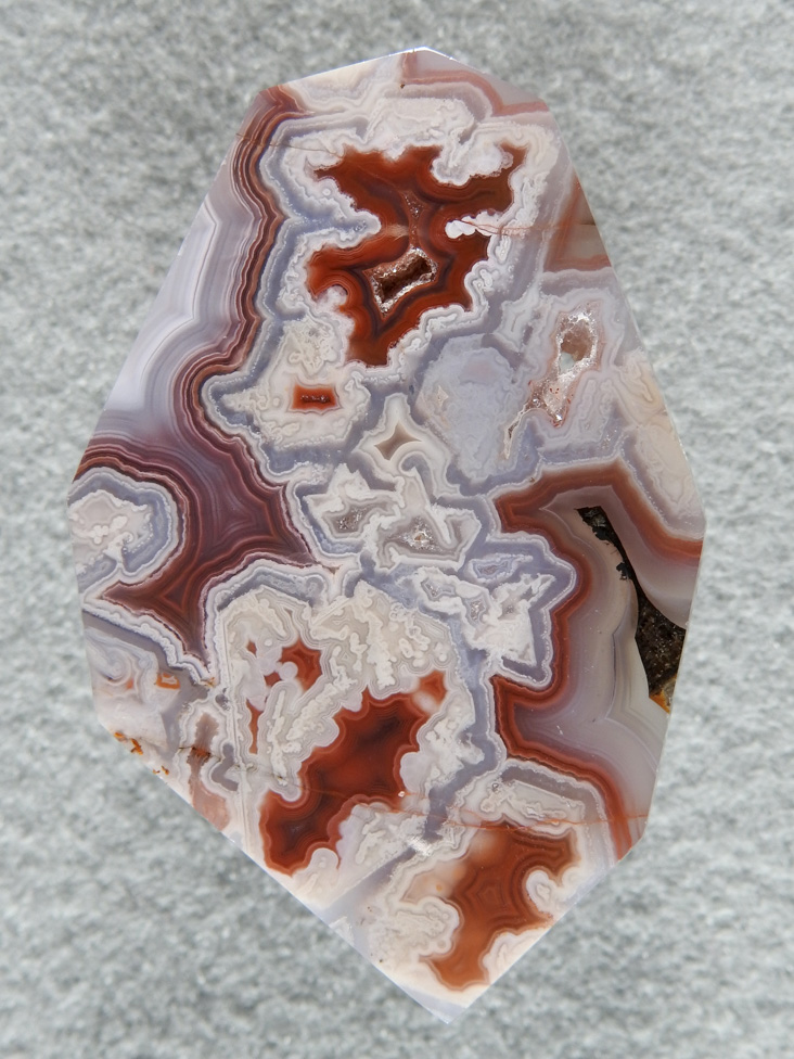 Coyamito Agate 209  :  A tall and large cab of exceptional Psuedomorph Agate from Coyamito.  A wonderful color combo and intense Reds make this a beautiful cab.