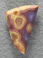 Coyamito Agate 1460 : Boy I wish I could collect at the Coyamito Ranch!  Top colors in this cab with the rarer Pruples and Pinks to accent the Yellows. Nice!