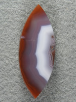 Coyamito Agate 1462 : Gemmy Red White and a Blueish Lavendar center band.  Nice material.