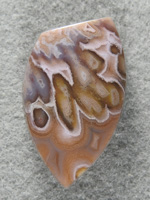 Coyamito Agate 1466 : Some large Sagenite sprays in this beautiful Pastel Coyamito cab.  Mirror finish.