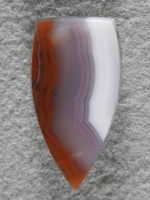 Coyamito Agate 1475 : Gemmy Red White and a Blueish Lavendar center band.  Small badge shape to follow Red bands. Nice material.